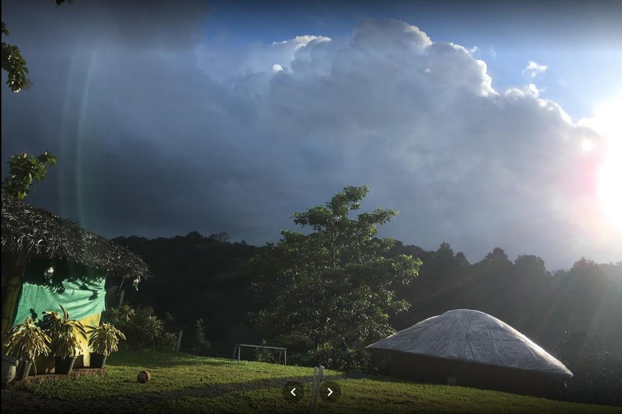Oxyfarm Resorts Wayanad Eksteriør bilde